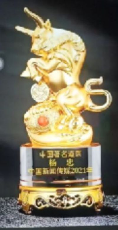 国医百科官网特别报道  中华道医脉络学现代疗法传承人——杨忠